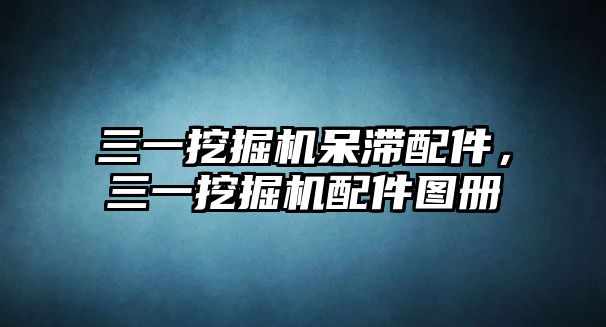 三一挖掘機呆滯配件，三一挖掘機配件圖冊