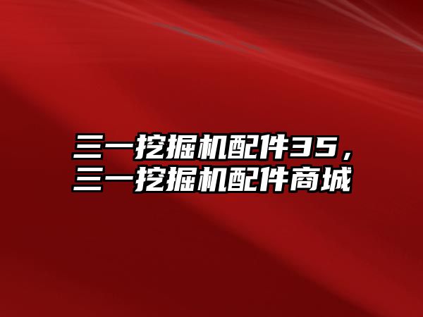 三一挖掘機(jī)配件35，三一挖掘機(jī)配件商城