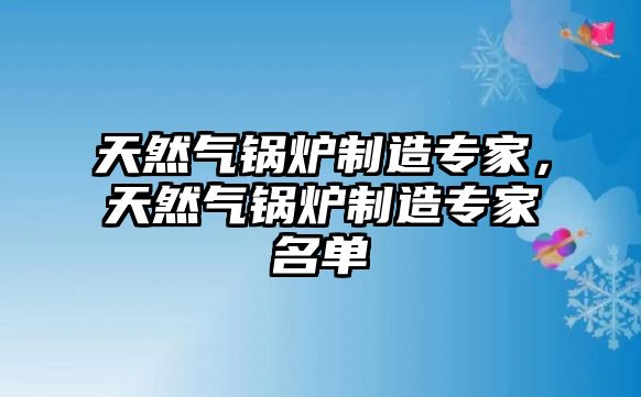 天然氣鍋爐制造專家，天然氣鍋爐制造專家名單