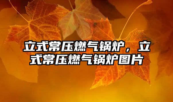 立式常壓燃?xì)忮仩t，立式常壓燃?xì)忮仩t圖片