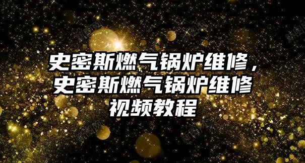 史密斯燃?xì)忮仩t維修，史密斯燃?xì)忮仩t維修視頻教程