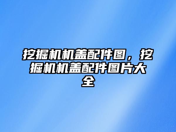 挖掘機機蓋配件圖，挖掘機機蓋配件圖片大全