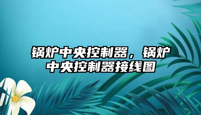 鍋爐中央控制器，鍋爐中央控制器接線圖