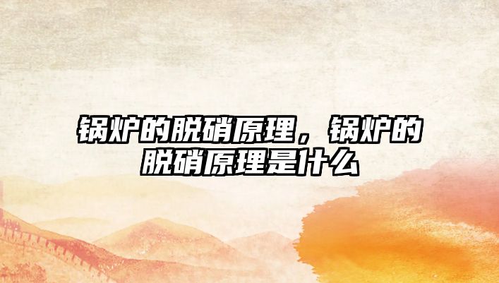 鍋爐的脫硝原理，鍋爐的脫硝原理是什么