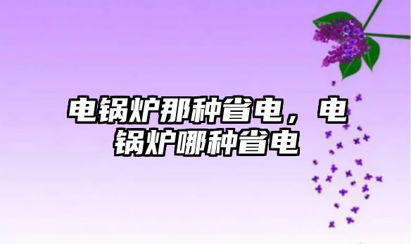 電鍋爐那種省電，電鍋爐哪種省電