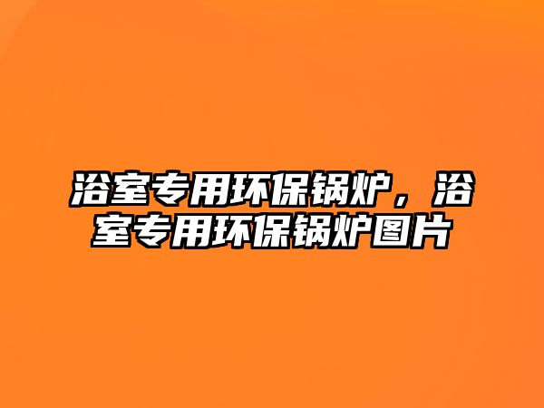 浴室專用環(huán)保鍋爐，浴室專用環(huán)保鍋爐圖片