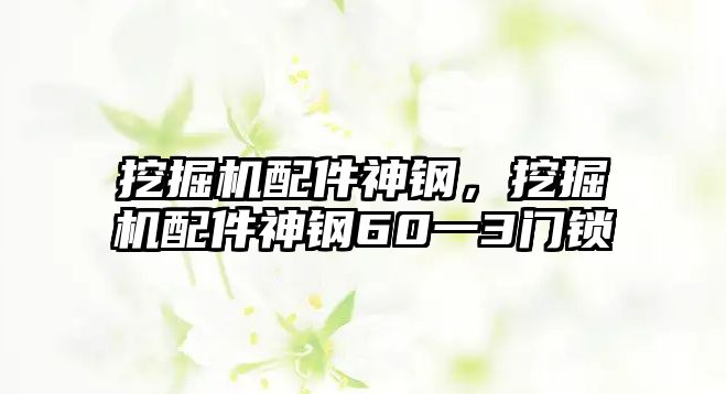 挖掘機(jī)配件神鋼，挖掘機(jī)配件神鋼60一3門鎖