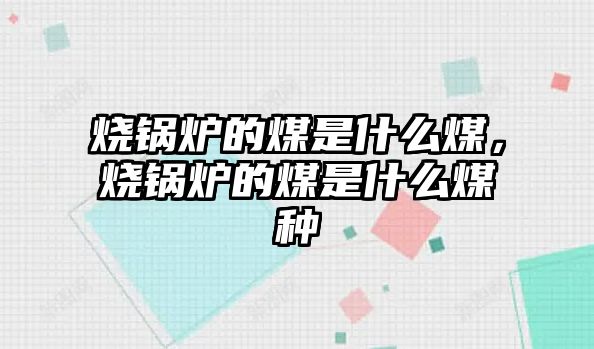 燒鍋爐的煤是什么煤，燒鍋爐的煤是什么煤種