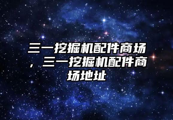 三一挖掘機配件商場，三一挖掘機配件商場地址