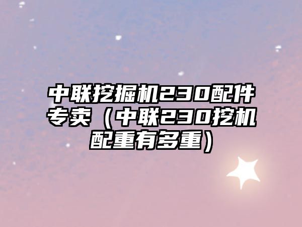 中聯(lián)挖掘機(jī)230配件專賣(mài)（中聯(lián)230挖機(jī)配重有多重）