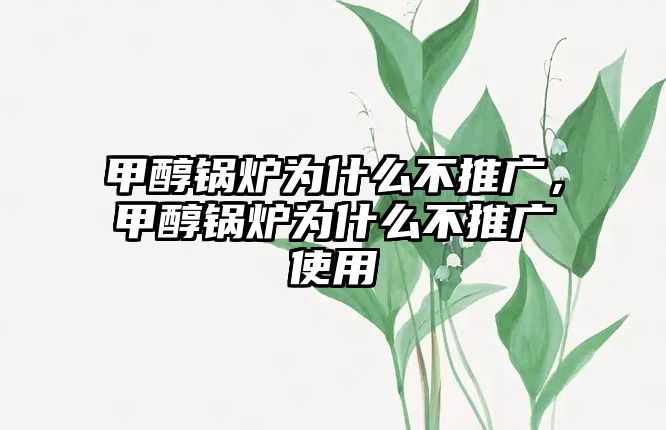 甲醇鍋爐為什么不推廣，甲醇鍋爐為什么不推廣使用