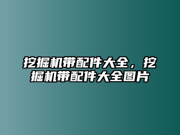 挖掘機帶配件大全，挖掘機帶配件大全圖片