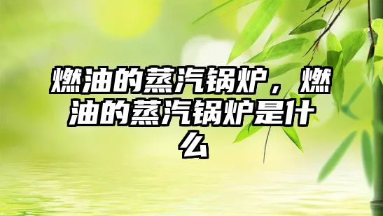 燃油的蒸汽鍋爐，燃油的蒸汽鍋爐是什么