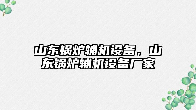 山東鍋爐輔機(jī)設(shè)備，山東鍋爐輔機(jī)設(shè)備廠家