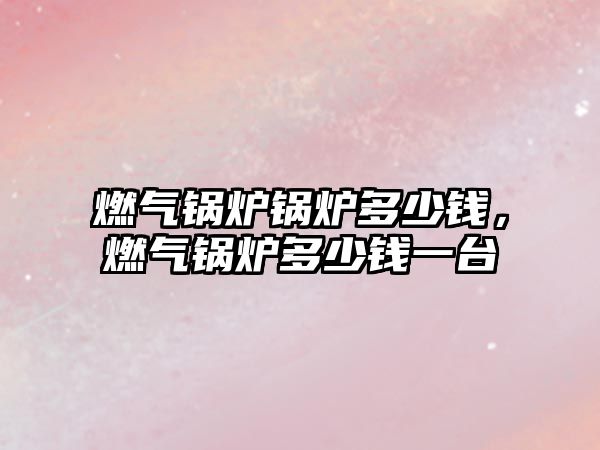 燃?xì)忮仩t鍋爐多少錢，燃?xì)忮仩t多少錢一臺(tái)