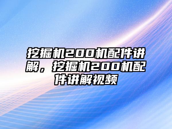 挖掘機(jī)200機(jī)配件講解，挖掘機(jī)200機(jī)配件講解視頻