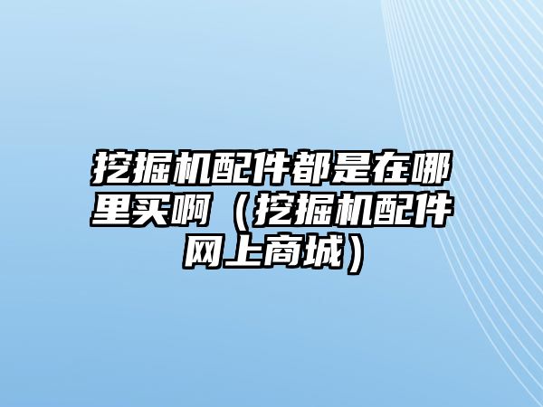 挖掘機配件都是在哪里買啊（挖掘機配件網(wǎng)上商城）