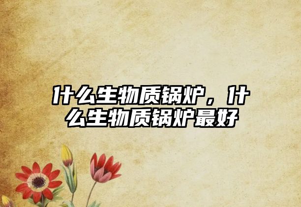 什么生物質(zhì)鍋爐，什么生物質(zhì)鍋爐最好