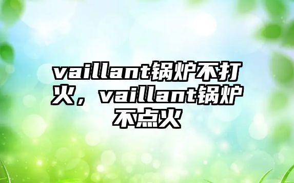 vaillant鍋爐不打火，vaillant鍋爐不點(diǎn)火