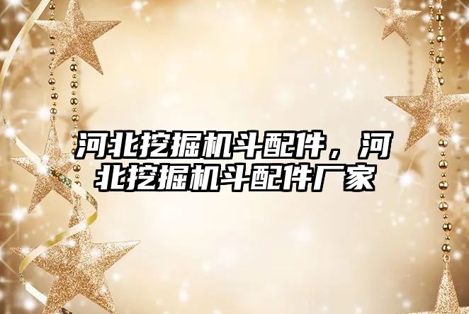 河北挖掘機斗配件，河北挖掘機斗配件廠家