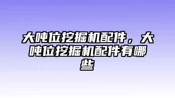 大噸位挖掘機(jī)配件，大噸位挖掘機(jī)配件有哪些