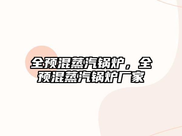 全預(yù)混蒸汽鍋爐，全預(yù)混蒸汽鍋爐廠家