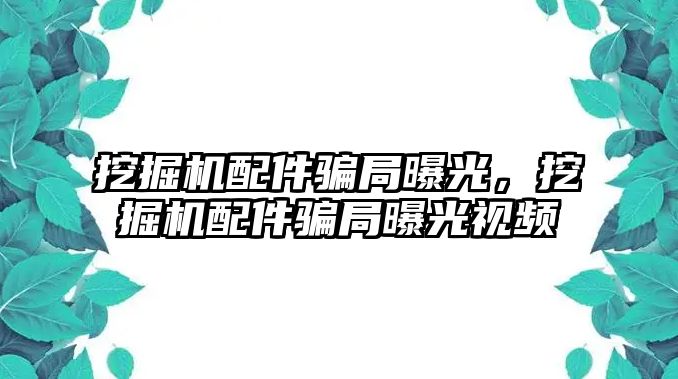 挖掘機配件騙局曝光，挖掘機配件騙局曝光視頻