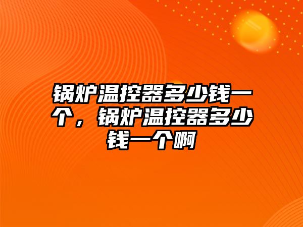 鍋爐溫控器多少錢一個，鍋爐溫控器多少錢一個啊