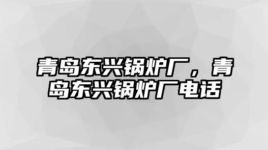 青島東興鍋爐廠，青島東興鍋爐廠電話