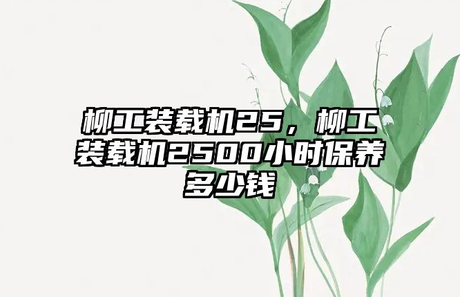 柳工裝載機(jī)25，柳工裝載機(jī)2500小時(shí)保養(yǎng)多少錢