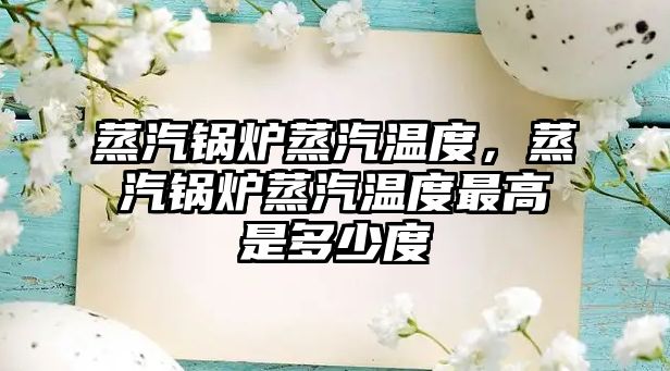 蒸汽鍋爐蒸汽溫度，蒸汽鍋爐蒸汽溫度最高是多少度