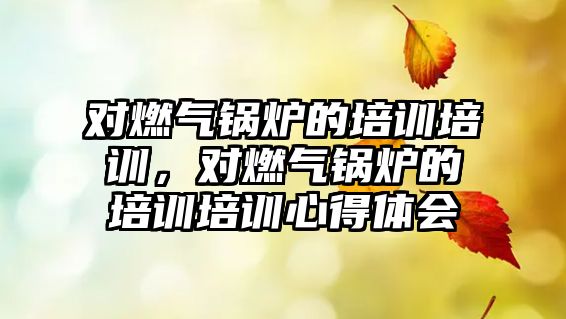 對(duì)燃?xì)忮仩t的培訓(xùn)培訓(xùn)，對(duì)燃?xì)忮仩t的培訓(xùn)培訓(xùn)心得體會(huì)