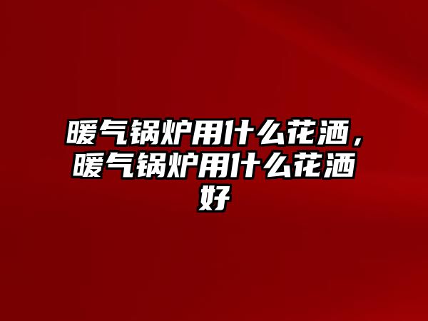 暖氣鍋爐用什么花灑，暖氣鍋爐用什么花灑好