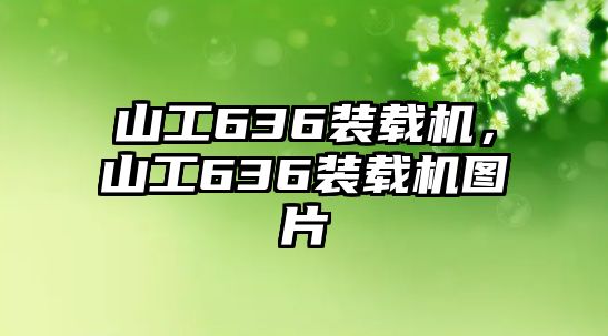 山工636裝載機，山工636裝載機圖片