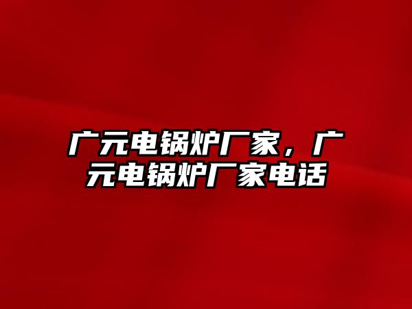 廣元電鍋爐廠家，廣元電鍋爐廠家電話