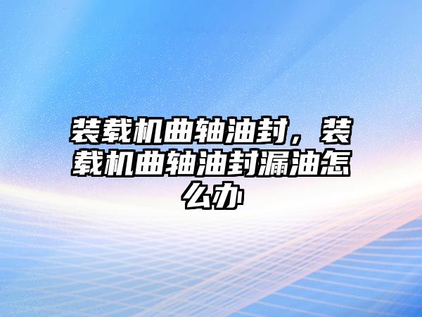 裝載機(jī)曲軸油封，裝載機(jī)曲軸油封漏油怎么辦