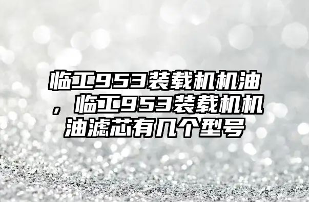 臨工953裝載機(jī)機(jī)油，臨工953裝載機(jī)機(jī)油濾芯有幾個(gè)型號(hào)