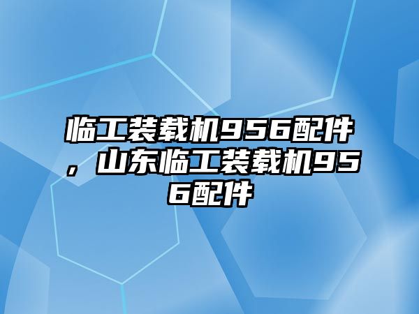 臨工裝載機(jī)956配件，山東臨工裝載機(jī)956配件