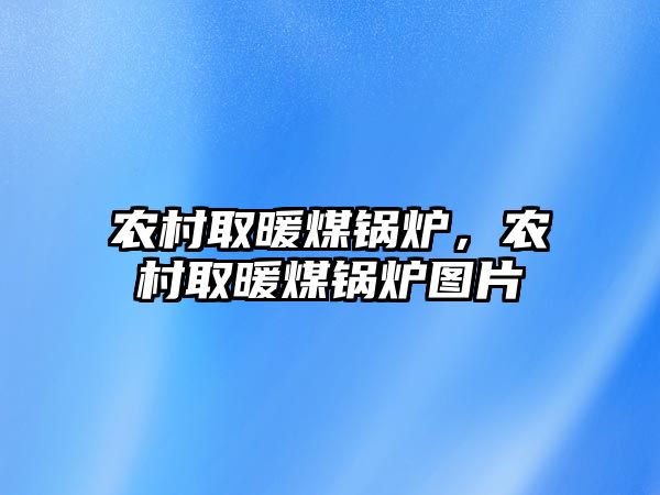 農(nóng)村取暖煤鍋爐，農(nóng)村取暖煤鍋爐圖片