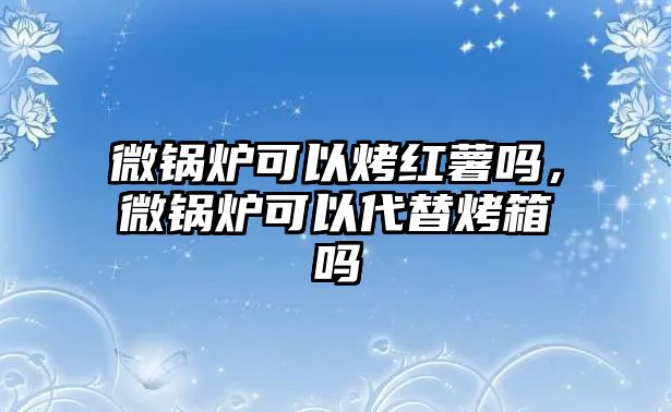 微鍋爐可以烤紅薯嗎，微鍋爐可以代替烤箱嗎