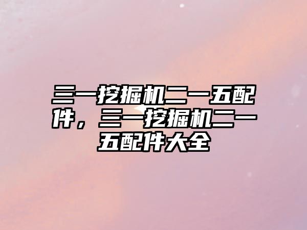 三一挖掘機二一五配件，三一挖掘機二一五配件大全