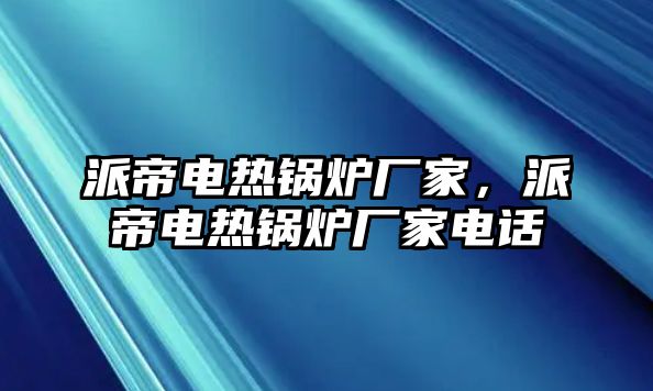 派帝電熱鍋爐廠家，派帝電熱鍋爐廠家電話