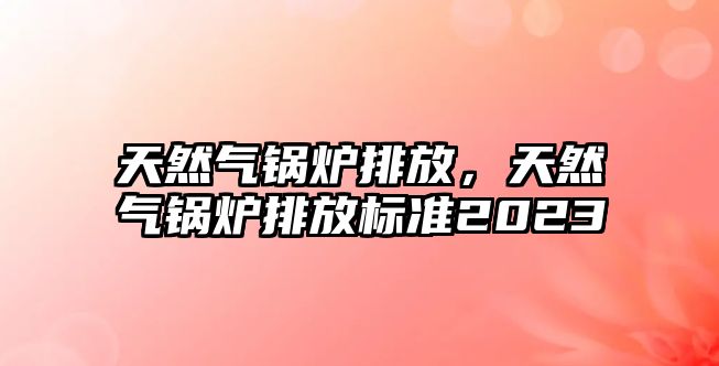 天然氣鍋爐排放，天然氣鍋爐排放標準2023