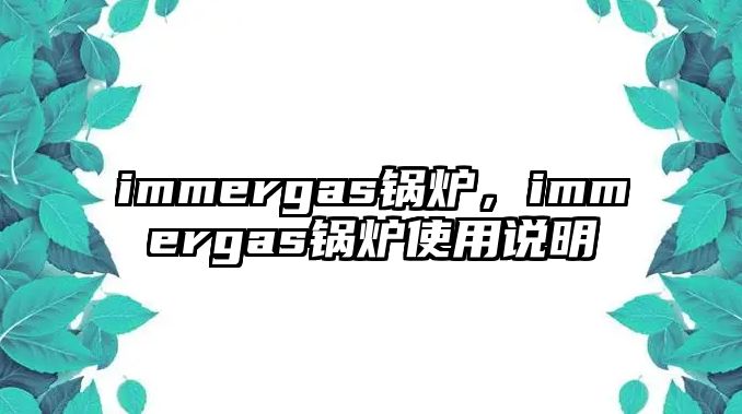 immergas鍋爐，immergas鍋爐使用說(shuō)明