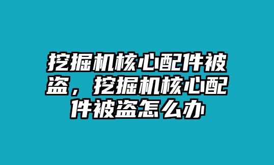 挖掘機核心配件被盜，挖掘機核心配件被盜怎么辦