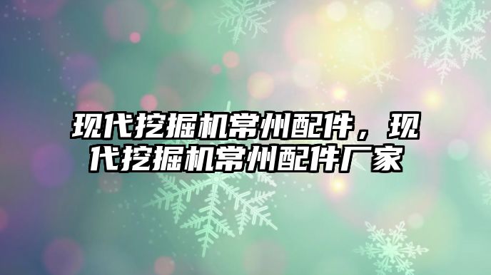 現(xiàn)代挖掘機常州配件，現(xiàn)代挖掘機常州配件廠家