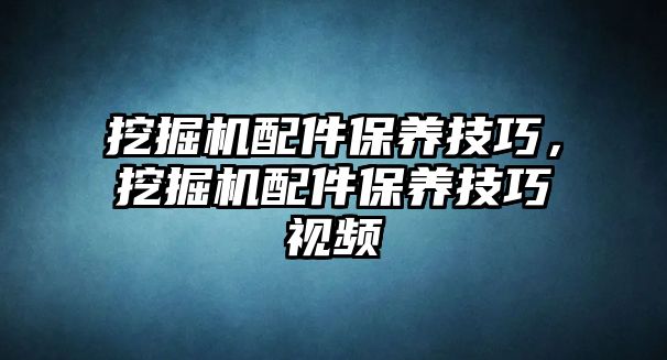 挖掘機配件保養(yǎng)技巧，挖掘機配件保養(yǎng)技巧視頻