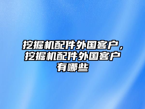 挖掘機配件外國客戶，挖掘機配件外國客戶有哪些