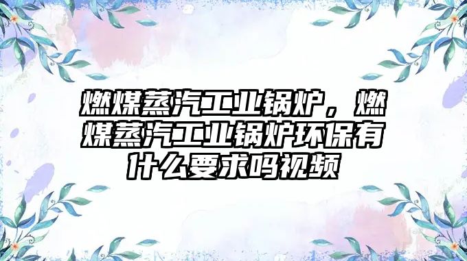 燃煤蒸汽工業(yè)鍋爐，燃煤蒸汽工業(yè)鍋爐環(huán)保有什么要求嗎視頻