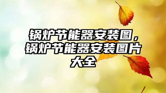 鍋爐節(jié)能器安裝圖，鍋爐節(jié)能器安裝圖片大全